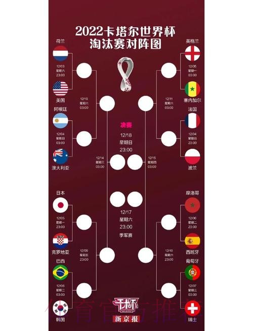 世界杯强队排名哪里看